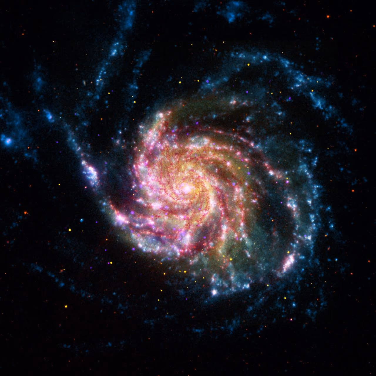 Face-on spiral galaxy M101 (Pinwheel) showing wide arms with bright pink star-forming regions.