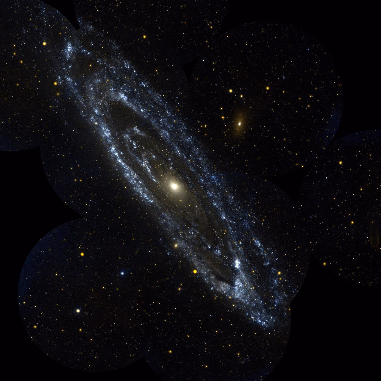 Andromeda Galaxy showing tightly wound spiral arms, dark dust lanes, and the bright central bulge.