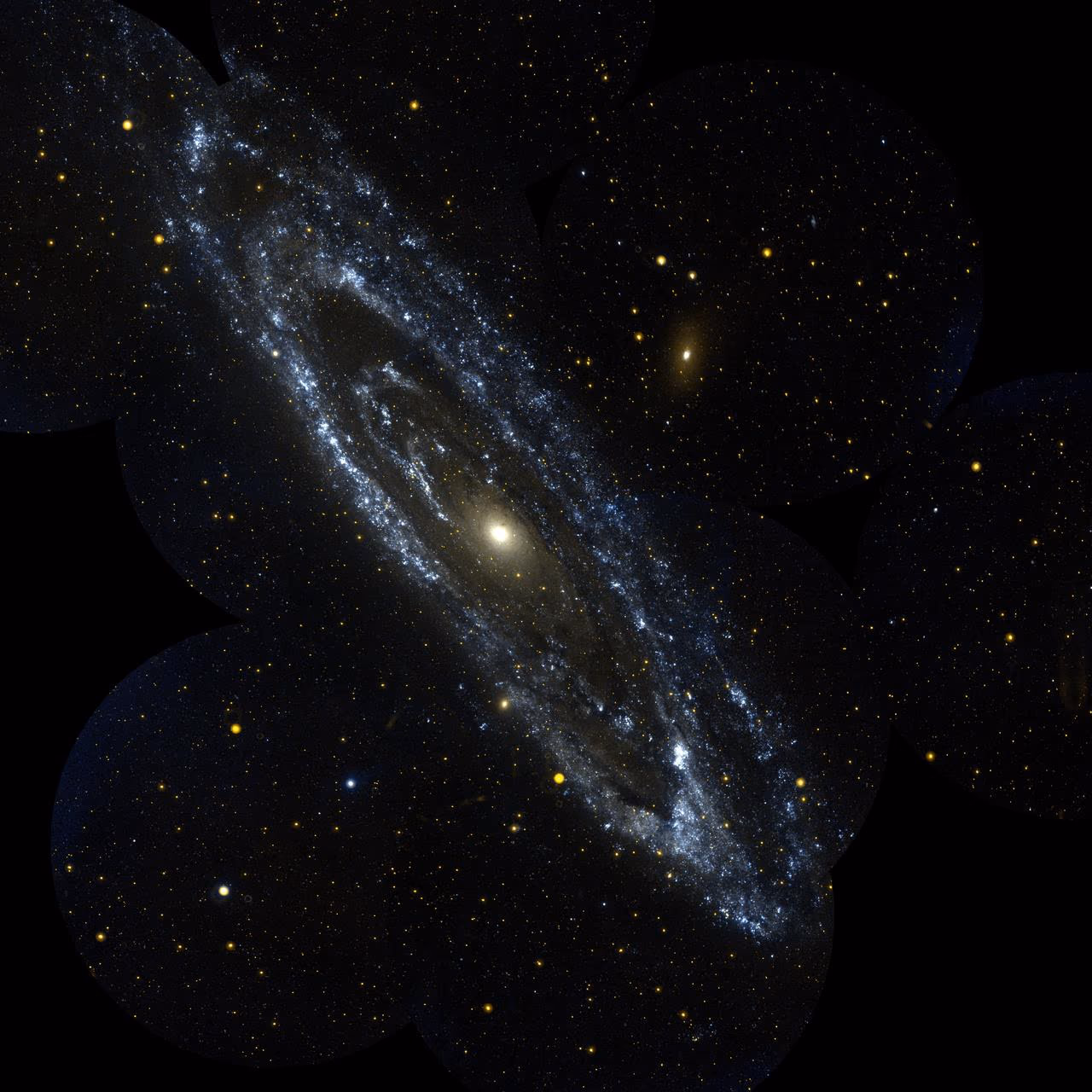 Andromeda Galaxy showing tightly wound spiral arms, dark dust lanes, and the bright central bulge.