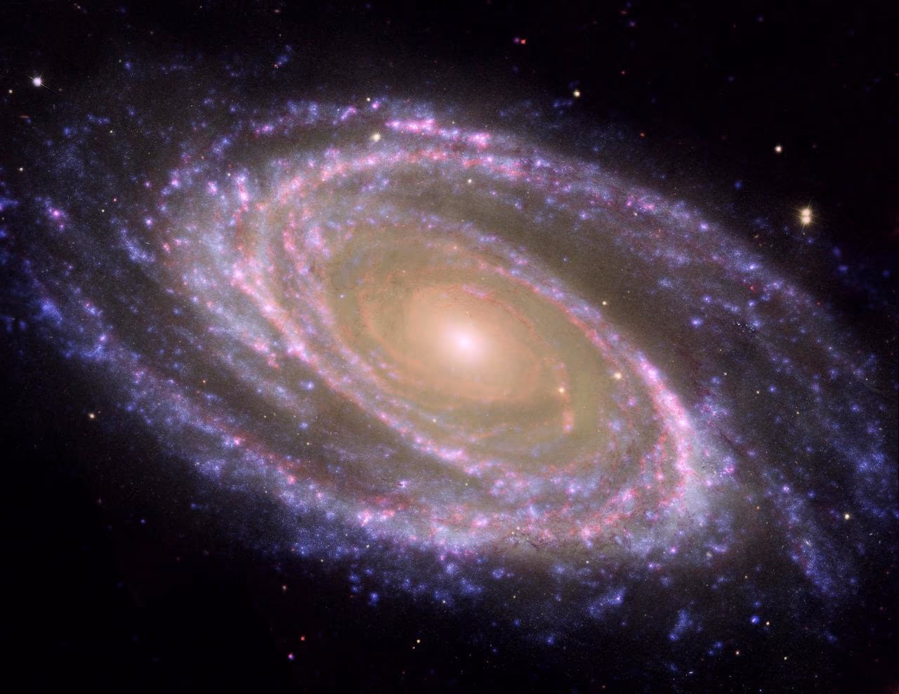 Bode's Galaxy M81, a tightly wound grand-design spiral galaxy in Ursa Major.