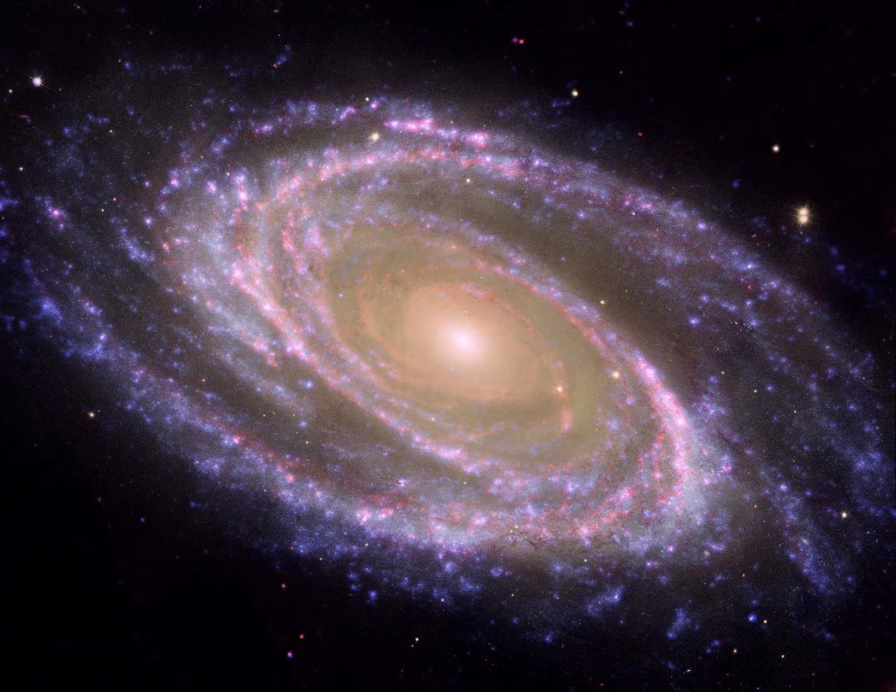 Bode's Galaxy M81, a tightly wound grand-design spiral galaxy in Ursa Major.