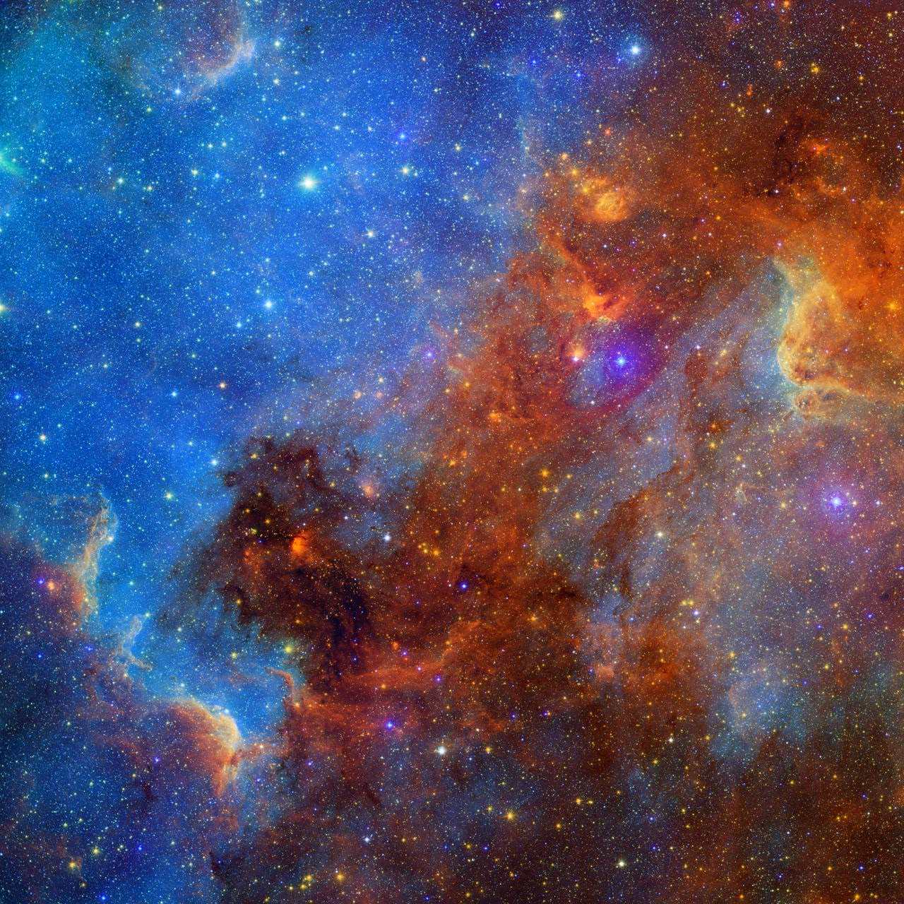The North America Nebula NGC 7000, a vast emission nebula in Cygnus shaped like the continent of North America.